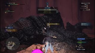 モンスターハンター：ワールド