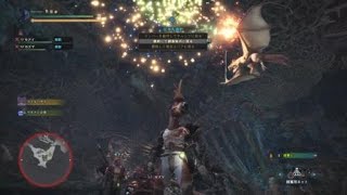 モンスターハンターワールド　変態装備で歴戦救難、逝きます！