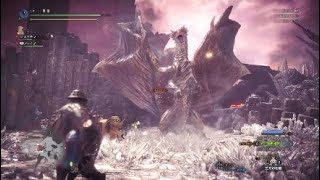 モンスターハンターワールドぐだぐだ実況