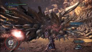 モンスターハンターワールド　泥土と骨鎚の激突合戦 2018 04 01 00 31 15 911