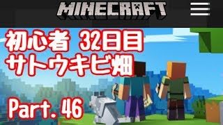 【マイクラ】初心者 32日目 自動サトウキビ畑   Part.46【#マインクラフト実況】【LIVE】