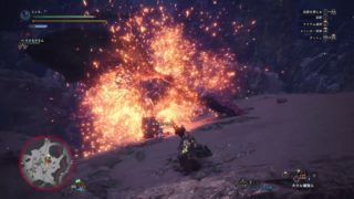 モンスターハンター：ワールド_20180425140550