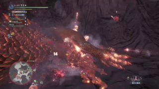 モンスターハンターワールド（MHW)HR255歴戦イビルジョ
