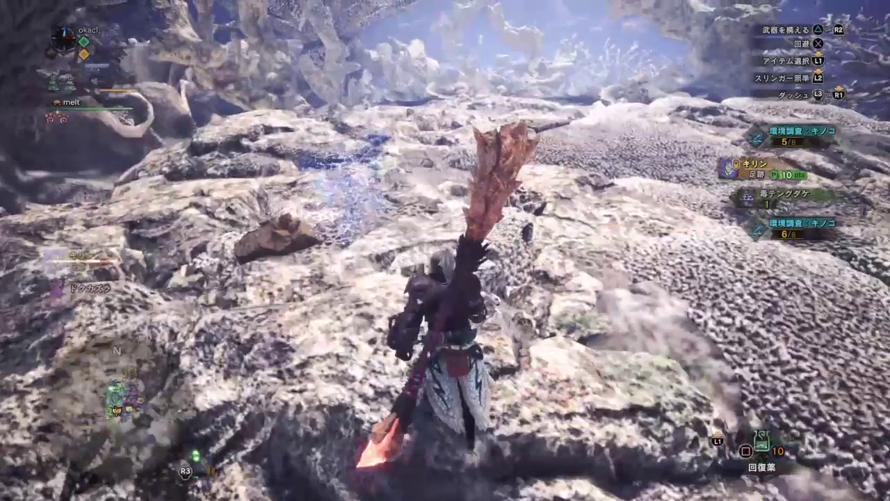 okacl_がPS4からブロードキャスト (モンスターハンター：ワールド) 38