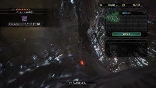 モンスターハンター：虫棒的なﾔｼ