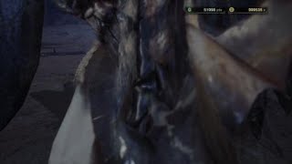 モンスターハンター：ワールド_集会所闘技場イベントクエスト「風漂惨爪討伐」