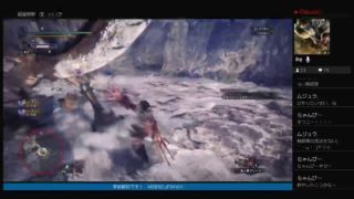 優女のモンスターハンターワールド[MHW]
