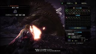 モンスターハンター：ワールド_　歴戦イビルジョー　ソロ　ライトボウガン