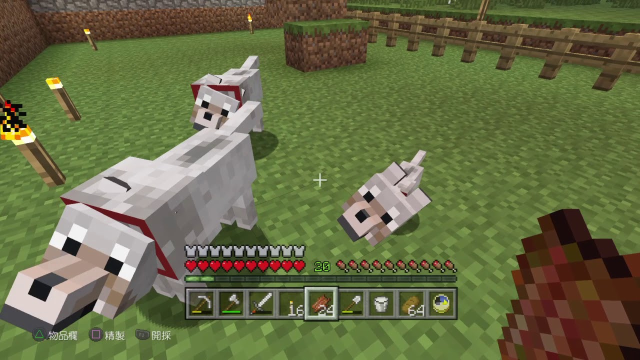 Minecraft　マインクラフト　犬と遊ぶ