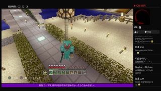 PS4[マインクラフト]まったり雑談ラジオ体操※画面固定多いです