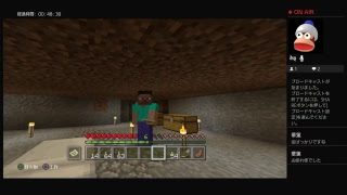 バニラが急に遊びたくなったマインクラフト