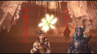 【モンスターハンターワールド】下位クエストラスト！