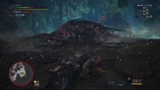 モンスターハンター：ワールド_20180413151557