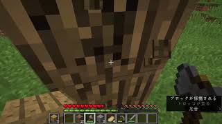 素人のマインクラフト