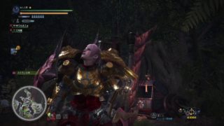 モンスターハンター：ワールド_20180407035131