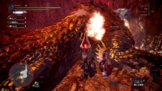 モンスターハンター：ワールド_20180429マムタロト戦を調査達成度MAXクリア