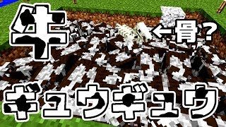 【マインクラフト】視聴者さん参加型サバイバル！牛大量発生！【Minecraft】