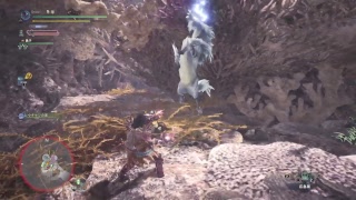 [PS4]モンスターハンター・ワールド - 幻獣は欺く麗しき