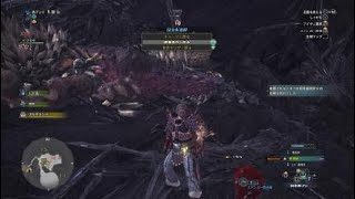 モンスターハンターワールド　ネルギガンテヘビィボウガンソロ