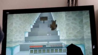 マインクラフト