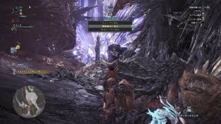 モンスターハンター：ワールド_20180428153141