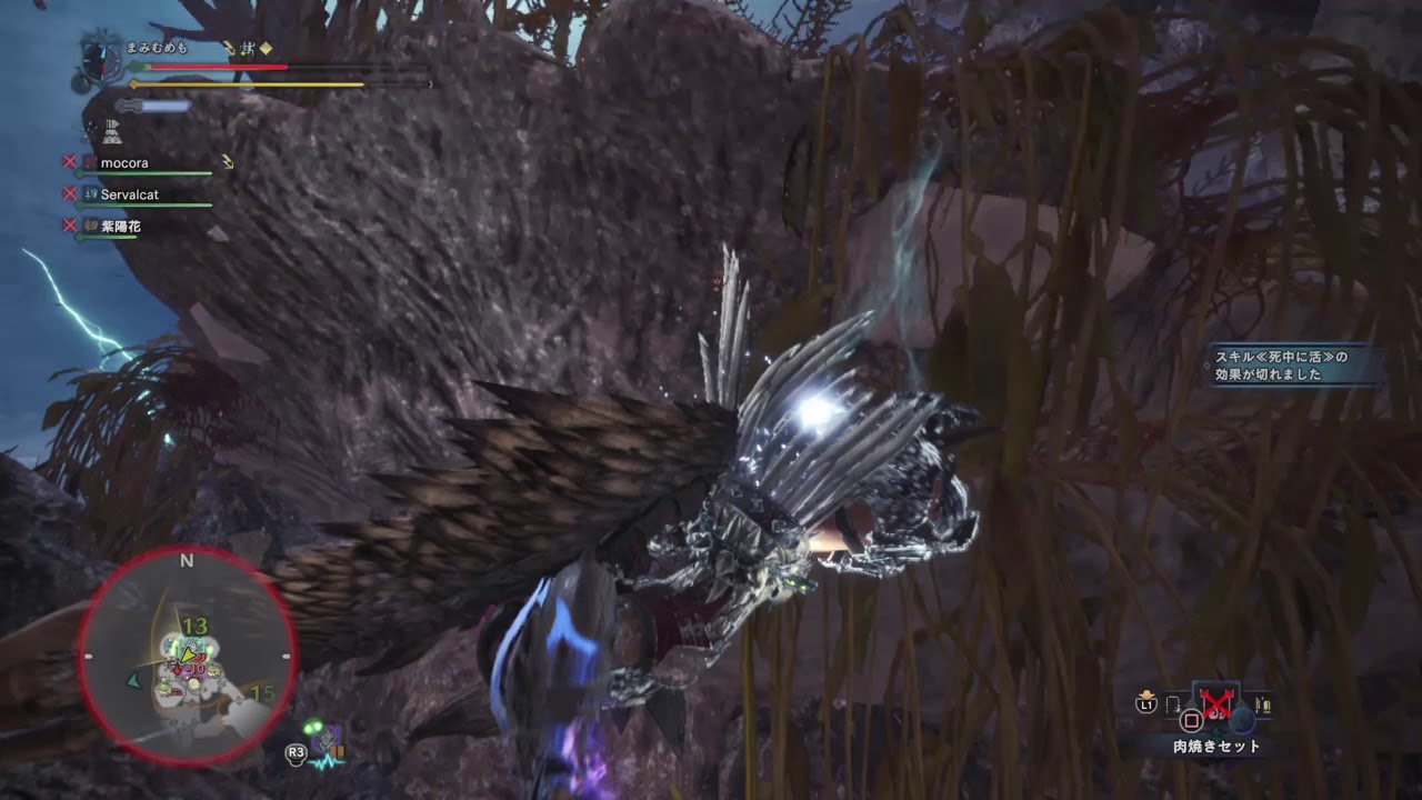 モンスターハンター：ワールド_20180424234611