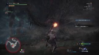 ［モンスターハンター：ワールド］　＃11　（四日目）のんびりと特射珠を探す戦い