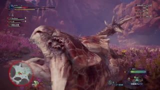 モンスターハンターワールド　弓