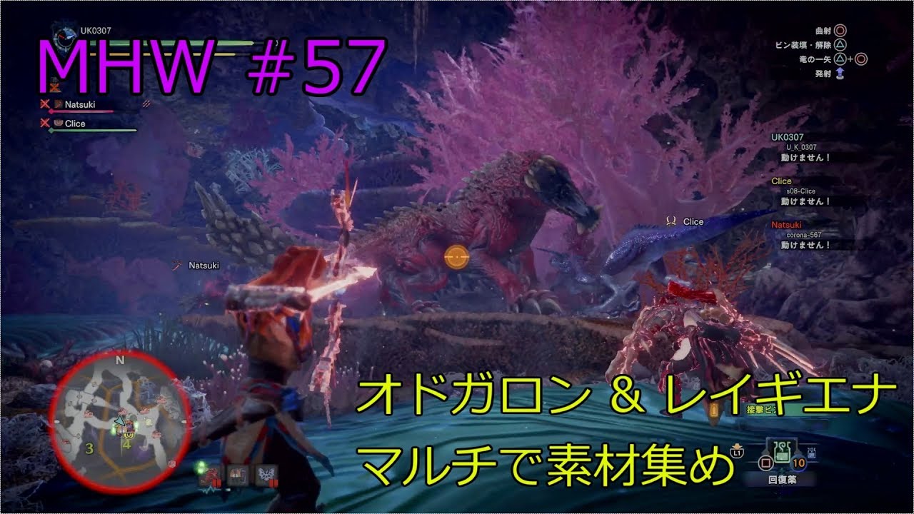 #57【アクション】モンスターハンター：ワールド【PS4 Pro】
