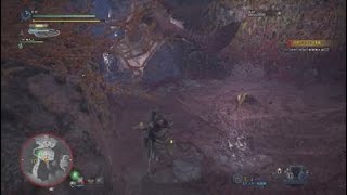 モンスターハンター：ワールドパート1パオウルムー
