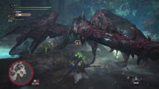 モンスターハンター：ワールド 歴戦ヴァルハザク 10分針