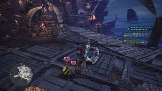 モンスターハンター：ワールド 歴戦バゼルギウス2頭の任務クエスト