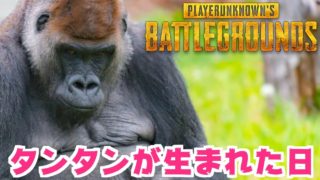 【PUBG】タンタンが生まれた日！！チ○チ○じゃないよ！！！【TUTTI】