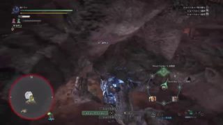 【モンスターハンターワールド】新武器！2丁拳銃で狩りに行く【生放送】