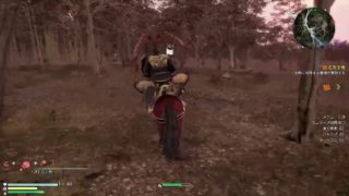 [真・三國無双８]まったりプレイ動画＠途中から－20