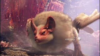 モンスターハンターワールドぐったりプレイ日記Part14パオウルムー
