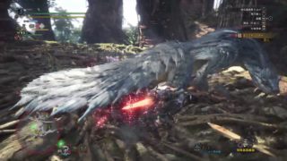 モンスターハンター：ワールド_トビカガチ最小金冠