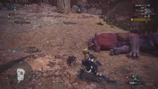 モンスターハンター：ワールド_20180428195041