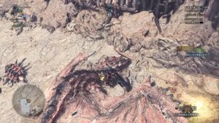 モンスターハンター：ワールド_飛んでるレウスにフィニッシュ！