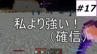 【マインクラフト】工業と魔術の黄昏これくしょん【ゆっくり実況】Part17