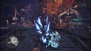 モンスターハンター：ワールド　アステラ祭　限定猫飯　限定クエスト!