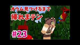 【マインクラフト】たまにはサバイバルでも遊んでみるよ　part23.5