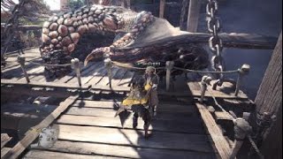 モンスターハンター：ワールド　バゼルギウス　大金冠参考