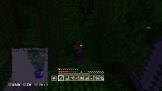 【PS4】【マインクラフト】　久しぶりにやるぞー