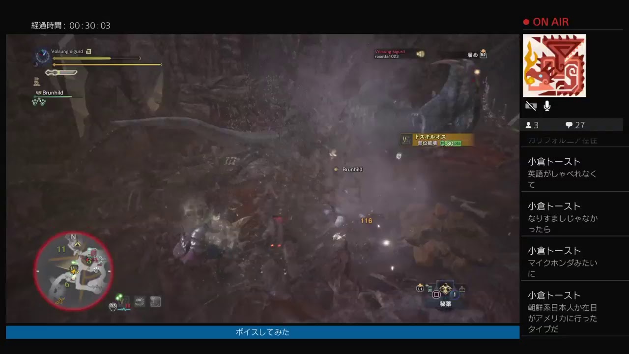 [おっさんが今日は一人でやる]モンスターハンターワールド[その3]