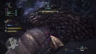 モンスターハンターワールド＃5