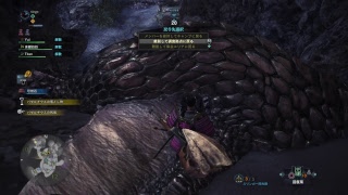 モンスターハンターワールド＃5