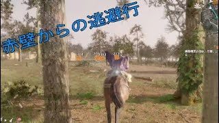 ［真・三國無双8実況］圧倒的敗北。＜曹操編＞（のんびりプレイ）#35