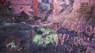 モンスターハンター：ワールド_20180408030038