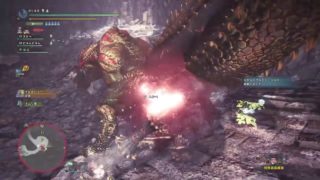 モンスターハンターワールド（MHW)HR245新マップ歴戦イビルジョ4